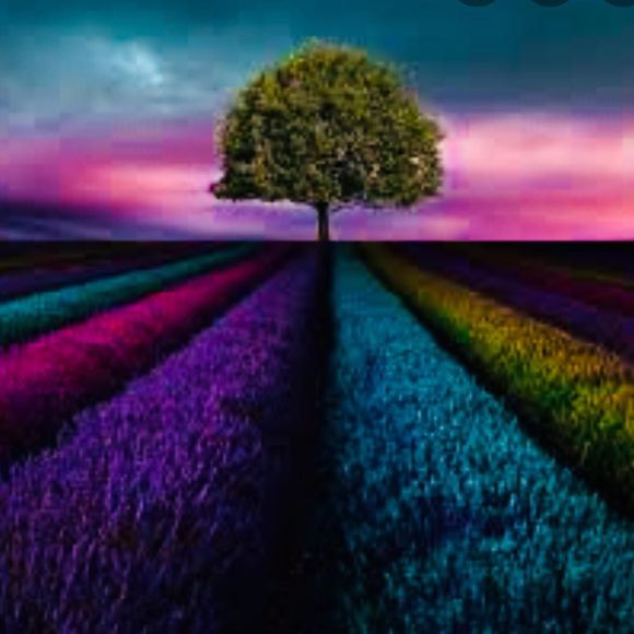 Meet your Posher, Cristina - Picture 1 of 1